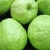 Import Premium quality Fresh Guava from Canada