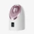 Import Professional Electric painless Facial Steamer Nano Mini Facial Mist Sprayer beauty equipment from China