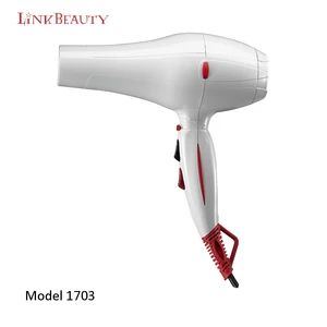 Professional Hair Blower AC Motor 2400W Fast Powerful Hair Dryer with Private Label For Salon
