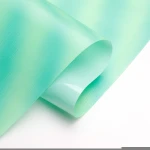 PROFESSIONAL TPU FILM