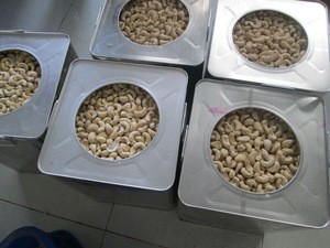 Quality Cashew Nuts Organic Cashew Nuts W320 W240 Factory Price Cashew Nuts