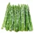Import Quality Fresh Asparagus from Canada