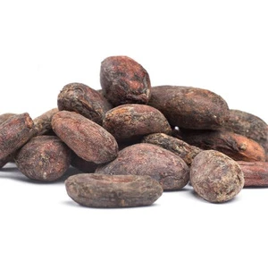 Raw Cocoa Beans Now Available
