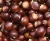 Import Raw sweet edible bulk chestnut wholesale from Uganda