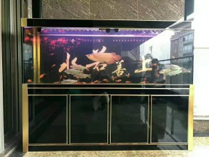 rectangle large acrylic customized size fish tank Aquarium with bottom and lid Tempered Glass Rectangle Fish Tank