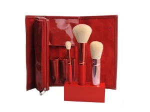 Red Color Cosmetic Makeup Brush Set Beauty Tool