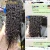 Import Remy Hair 100 Brazilian Human Hair Wig,Brazilian Real Ready To Ship Human Hair Wig,Remy Brazillian Semi Human Hair Wig from China