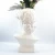 Import Resin Handicrafts David Bust Statue Flower Pot Desktop Shelf Decoration from China