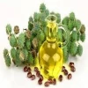 Rich Quality Fresh and Natural Castor Oil for Wholesale Purchase