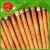 Import Root and Stem vegetables Chinese Fresh Burdock from China