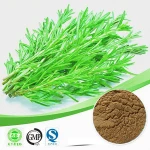 rosemary extract (plant extract) /rosemary extract for hair / rosmarinic acid rosemary extract