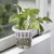Import Self Watering Plant Pot Creative Indoor Automatic Water Absorbing Flower Pot from China