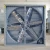 Import Series wall mounted ventilation/industrial poultry Exhaust fan from China
