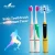Import SG-981 Seago sonic toothbrush electric battery powered electric toothbrush electric toothbrush head from China