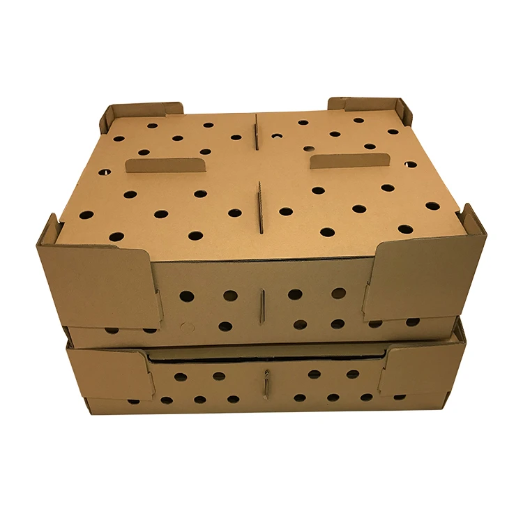 Shenzhen factory wholesale cheap price and pretty quality Custom design corrugated cardboard 100pcs live baby chick birds box