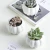 Import Simple white succulent ceramic small pumpkin with treetop bamboo frame Ceramic Flowerpot from China