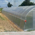 Singel-Span Plastic Film Cover  Small Lean Agricultural to Greenhouse