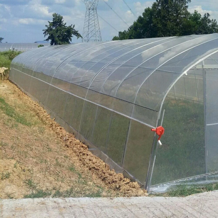 Singel-Span Plastic Film Cover  Small Lean Agricultural to Greenhouse