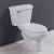 Import Single Flush Standard Height Elongated Toilet Bowl from China