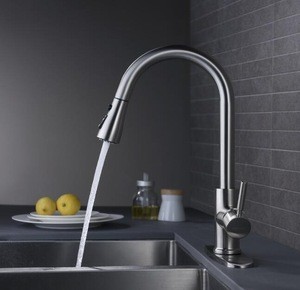 Single handle high arc brushed nickel pull out kitchen faucet