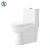 Import Siphonic one piece Toilet sanitary ware toliet from China