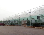 Skyplant Automatic Greenhouse 100% Blackout agriculture Glass green house