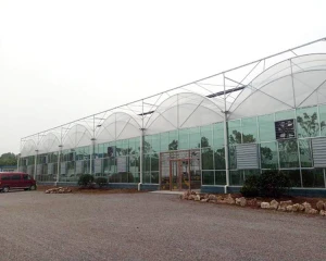 Skyplant Automatic Greenhouse 100% Blackout agriculture Glass green house