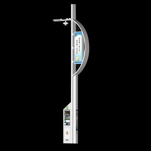 Buy Smart City Lighting Aluminium Double Arm Street Smart Light Pole ...