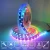 Import Smart Pixel RGB WS 2812 WS2812 Led Strip from China