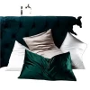 Smooth High Quality 100% Mulberry Luxury Quilted Silk Pillow Case Silk Pillowcase