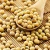 Import Soybeans from India