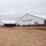 Steel Structure Chicken Pens Free Range Animal Cages Equipments