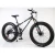 Import Tianjin China hot sale 21 Speed 26 inch Carbon Steel Frame snow bike adult fat tire bicycle from China