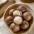 top grade macadamia nuts with shell high quality macadamia nuts
