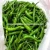 Import TOP PRODUCT FOR EXPORT: GREEN HOT CHILLI - BEST PRICE from Vietnam