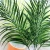Import Tropical Leaves Decorations Green Artificial Plastic Green Palm Tree Leaf from China