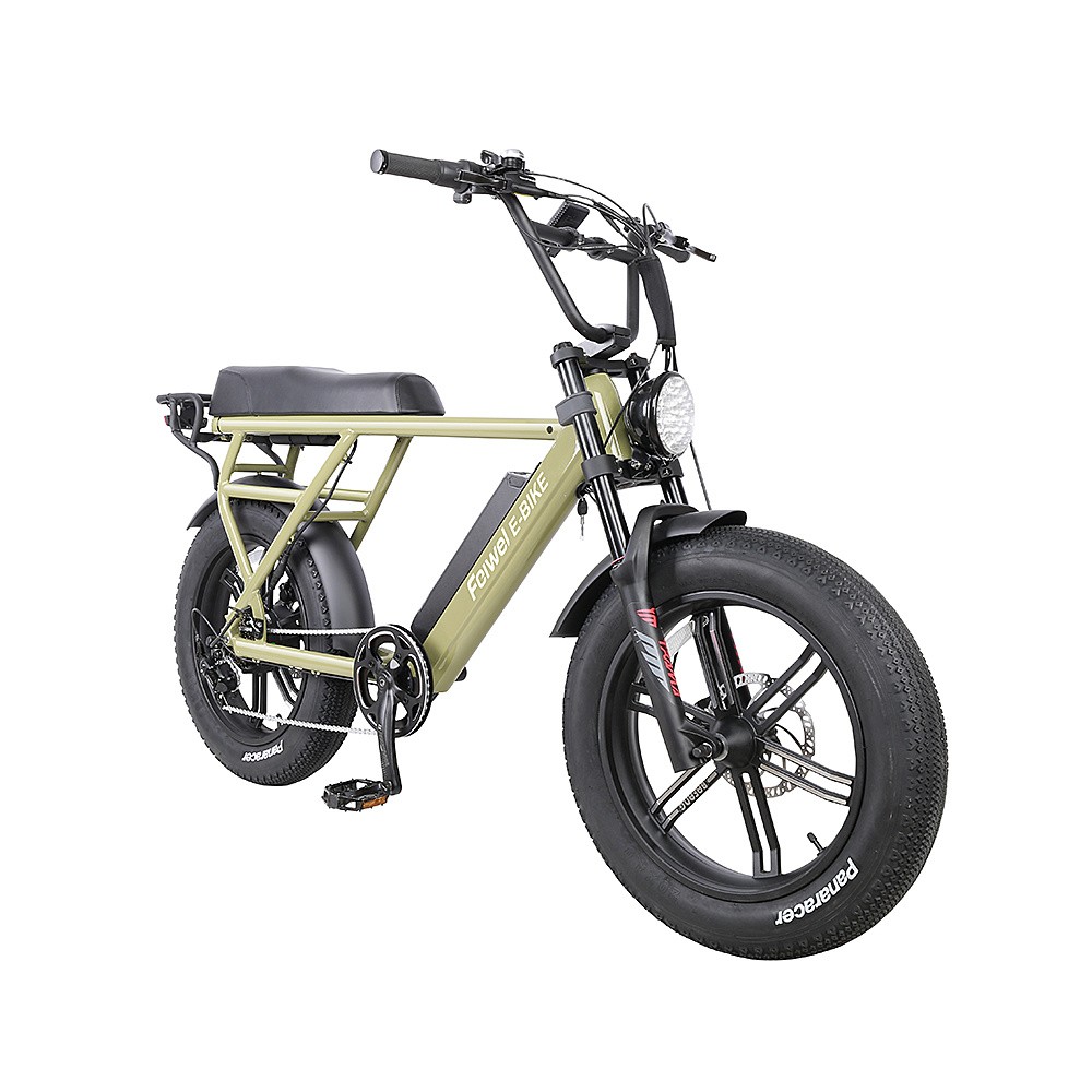 Twenty-Inch Electric Bicycle with 500W Brushless Motor and 48V/12.8ah Li-ion Battery