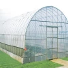 Vegetable Production greenhouses China Film Greenhouse Agricultural Greenhouse