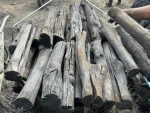 Vietnamese coal: Traditional energy source and development potential