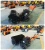Import walk behind gasoline type snow sweeper cleaning machine sweeper for snow from China