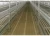 Import Warehouse Mushroom Grow Rack Steel Stack Storage Fungus Racking Shelf from China