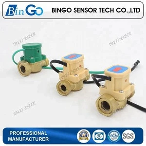 Water pump oil magnetic flow switch