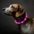 waterproof colorful pets collars Wholesale Nylon USB Rechargeable Flashing Led Dog Collar