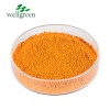 Wellgreen Factory Natural Plant Aloe Vera Extract Powder 98% Aloe-Emodin Powder