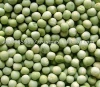 whole Green peas