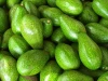 Wholesale Fresh Avocado from Vietnam - High Standard - Suitable Price