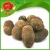 Import Wholesale fresh Taro with competitive price, high quality Chinese taro from China