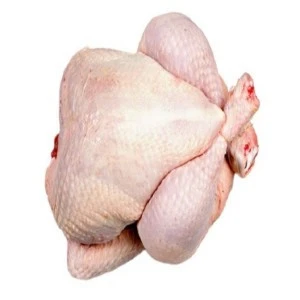 Wholesale halal frozen  whole chicken with and without giblets