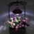Import Wholesale Modern Factory Directly Sale Small Plants Bonsai Metal Stand With Lamp from China