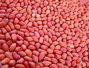 wholesale peanuts raw peanut red skin peanut